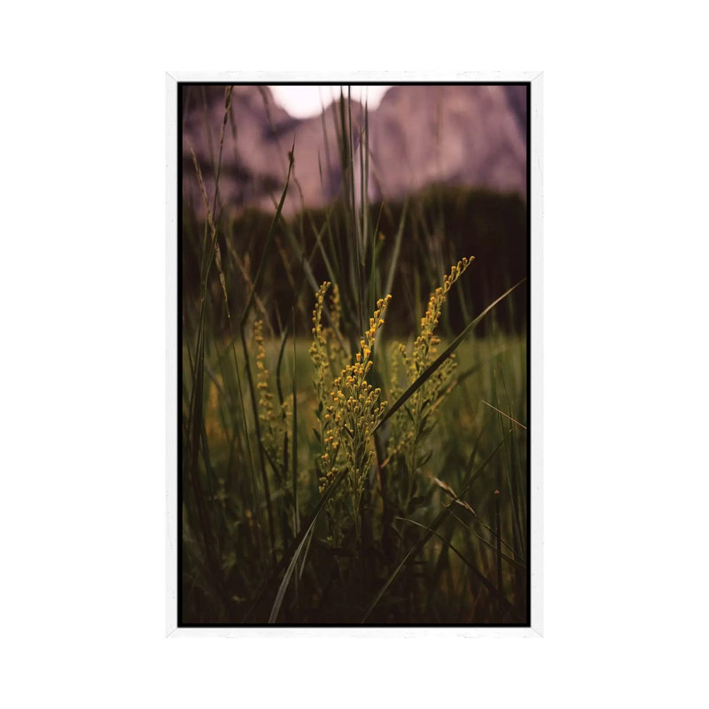 Yosemite Valley II by Bethany Young - Print on Canvas, 101.6cm H x 66.04cm W x 3.81cm D, White Framed