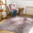 Tomishige Oriental Red/Light Brown/Charcoal/Taupe/Light Beige Area Rug-2087229621
