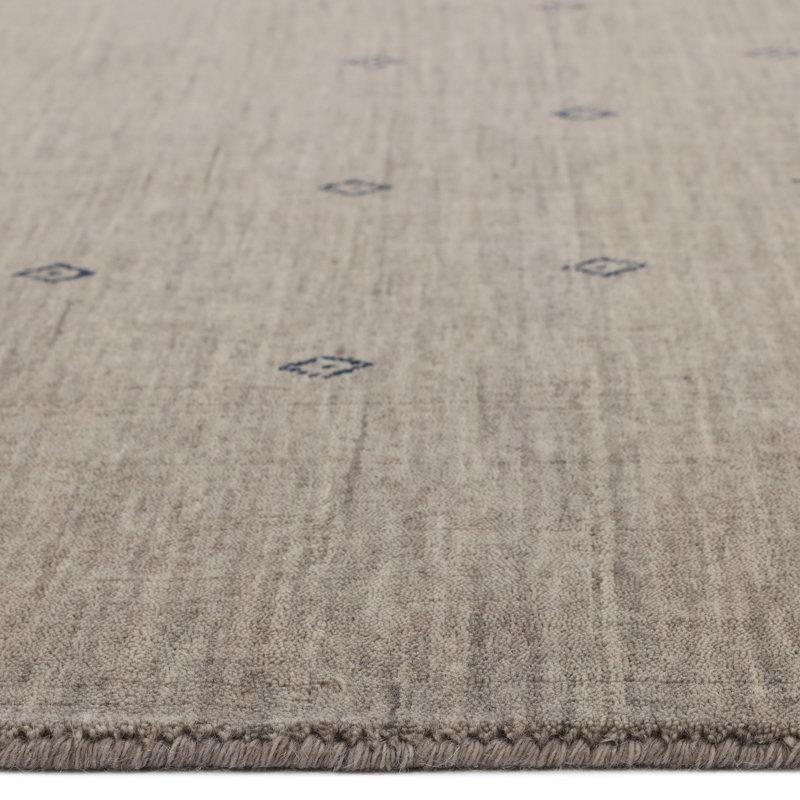 Simi Hand Knotted Cotton/Wool Southwestern Area Rug, Taupe, Rectangle 10' x 14'