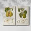 Vintage Pears V-Premium Gallery Wrapped Canvas -Ready to Hang-1270698120