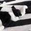 Couverture en flanelle super douce-114614143-114614149