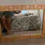 Customer photo 2 of 2