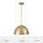Hunter Erling 1 Light Medium Pendant Ceiling Light Fixture-114532205
