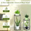 Camillia Plant Stand
