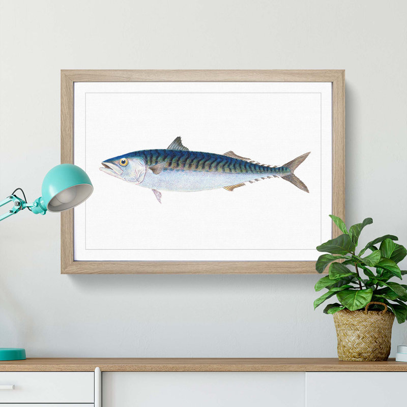 Mackerel Fish by Edward Donovan - Picture Frame Painting Print, 48cm H x 65cm W x 2cm D, Oak Framed