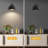 Aalap Plug In Iron Armed Sconce