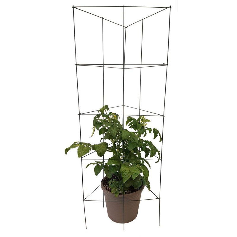 Support de jardinière pliable en trois tours de tomate Brenner