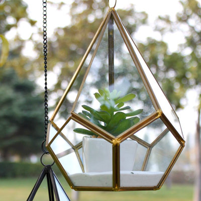 Terrarium en verre Radu Undecahedron