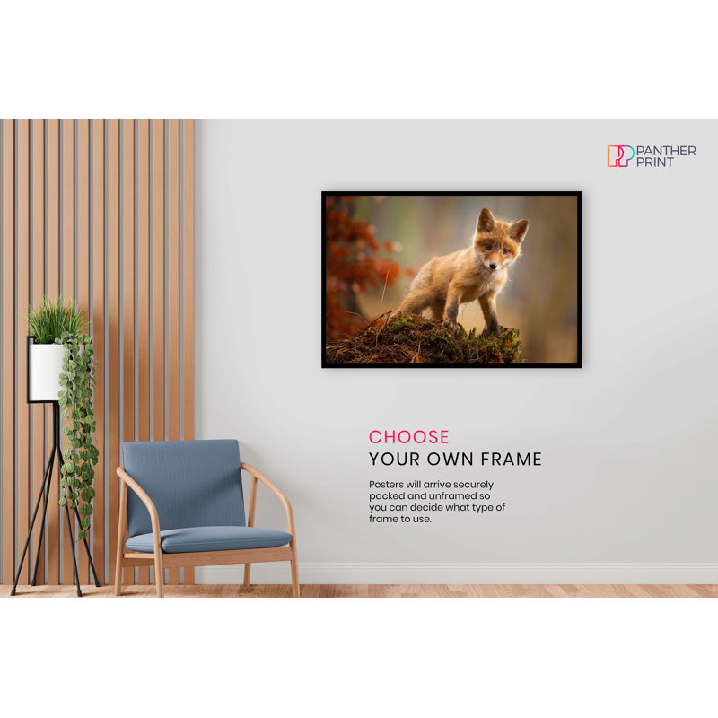 Curious Red Baby Fox - No Frame Print, 31cm H x 20cm W