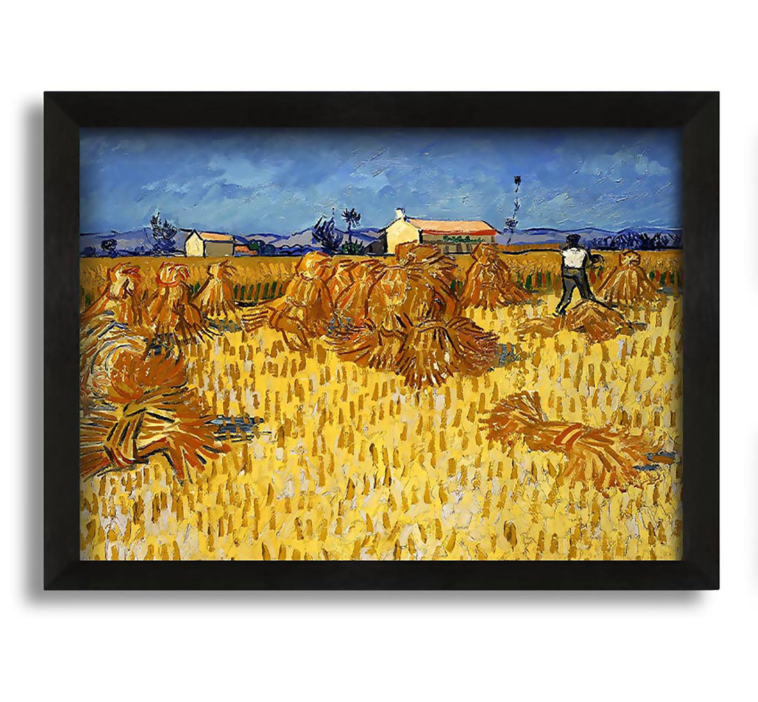 Gerahmtes Leinwandbild Corn Harvest in Provence von Vincent Van Gogh