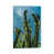 Wrapped Canvas