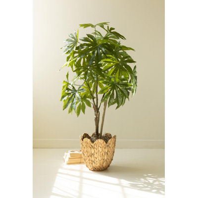 ARTIFICIAL 4' JAPANESE ARALIA IN PLASTIC POT