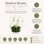 Orchid Arrangement in Round Fiberstone Pot-1233830116