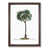Walnut Framed selected