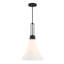 Rockleigh 60 Watt 1-Light Matte Black Down Pendant Light with Etched Opal Glass Shade-1254315331-1254315328