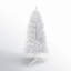 Arbre de Noël Grai White Pine-88049307