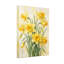 Plantes et fleurs jonquilles sur fond doux-687310217