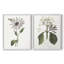 Tropical Botanical III - reproduction encadrée de qualité supérieure - prête à être accrochée - aucun clou requis - aucun clou requis-1644411409-1644411401