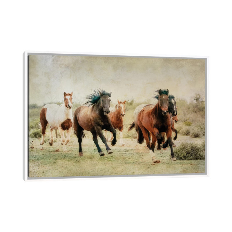 Out Of The Desert by Rhonda Thompson - Floater Frame Print on Canvas