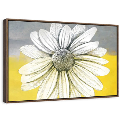 Marguerite sur les couleurs
