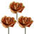 10" Autumn Cabbage Stem-128538648
