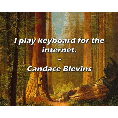 Artsy Quote "I play keyboard for the internet." By Candace Blevins Gallery Wrapped Canvas
