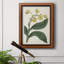 Toile encadrée de qualité supérieure Antique Botanical Collection X - prête à être accrochée-1149289216