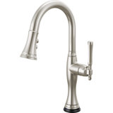 SmartTouch© Pull-Down Prep Kitchen Faucet