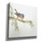 'Finch' by Chris Paschke, Canvas Wall Art-908138549