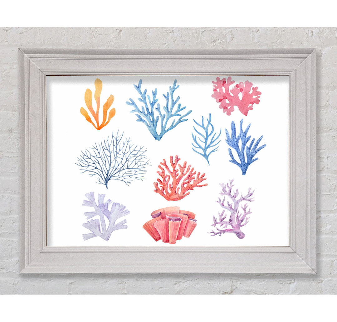 Gerahmtes Leinwandbild Sea Life Coral