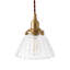 1 - Light Brass Pendant
