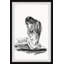 «Look Beyond Imperfections», reproduction encadrée-70531315
