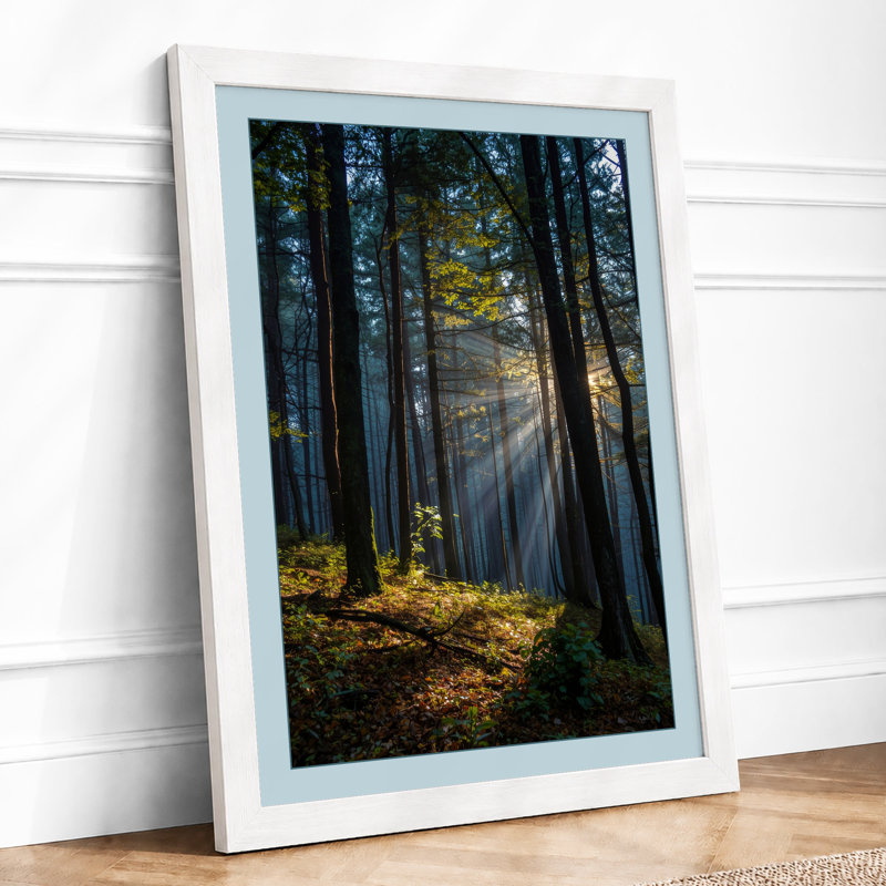 Light Through Woodland Scandinavian - Framed Print, A2 - 59.4 x 42.0 cm, White