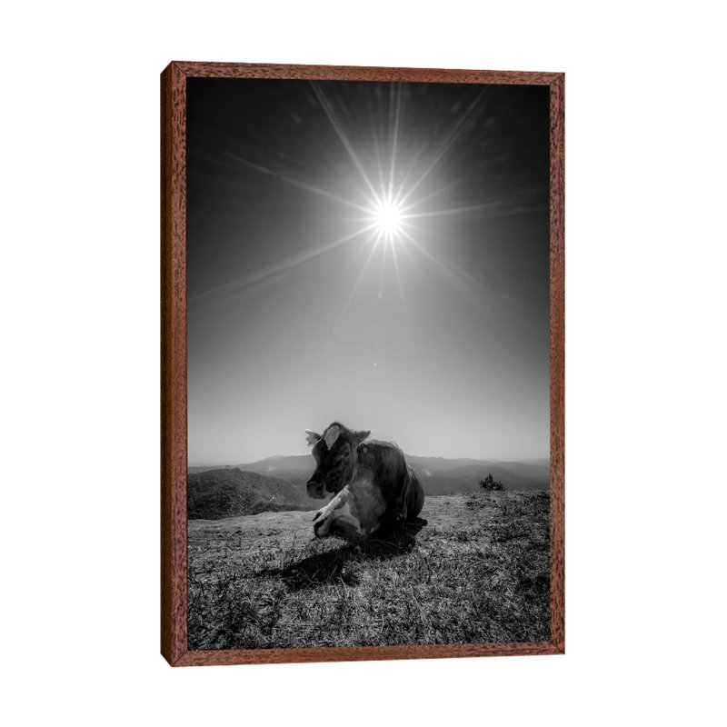 Cow II by Glauco Meneghelli - Print on Canvas, Brown Framed, 66.04cm H x 45.72cm W x 3.81cm D
