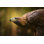Portrait d'un aigle royal par Zocha_K