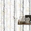 Cestaric Birchwood Wallpaper