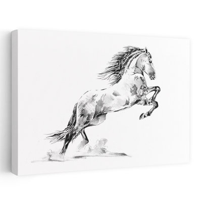 Rearing Appaloosa Horse by Kulik - Wrapped Canvas Print