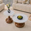 Ensemble de tables basses gigognes abordables Luxury Luxury. Idéal pour le salon et la salle à manger.