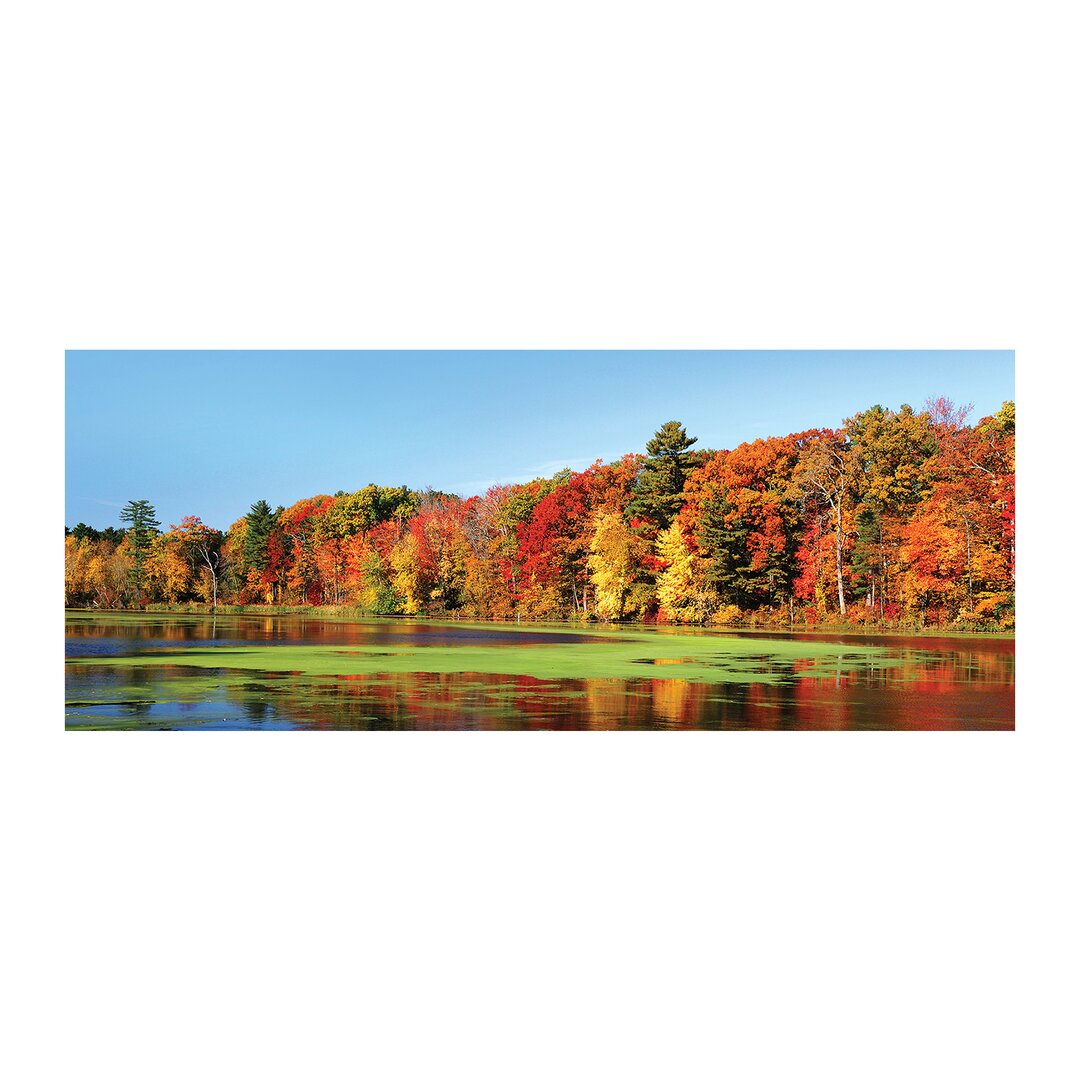 Glasbild Landschaft Wald - Herbst See