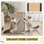 Cat Scratching Post 63cm with Replaceable Scratching Board, Top Perch, Sisal Scratch Mat