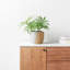 Handmade Wood Pot Planter-737450204-737450205