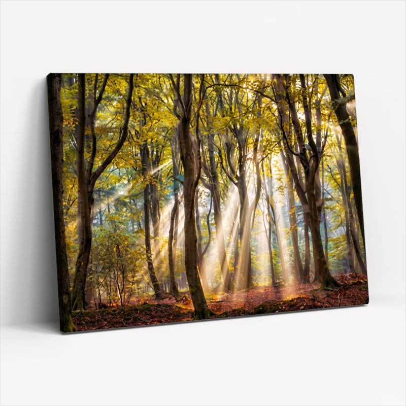 Ensemble de 1 tableau sur toile tendue « Lumière du soleil à travers les arbres d'automne », H 16 po x l 24 po, Noir