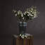 Arrangement-34404674