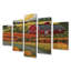 Tournesol champ rouge Bard vert campagne - ferme, art mural 5 pièces-1469302019