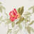 Ellesmere Ribbon Floral Fabric-38453934