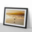 Birds on the Beach - Framed Print-55501128-55501130