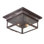 Newton 2 - Light Flush Mount