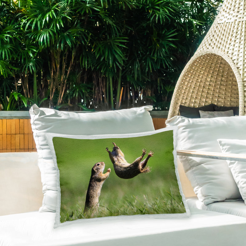 Outdoor Throw Pillow