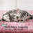 Siebert 79'' H Cat Tree-2105482802