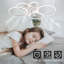 Ceiling Fan with LED Lights